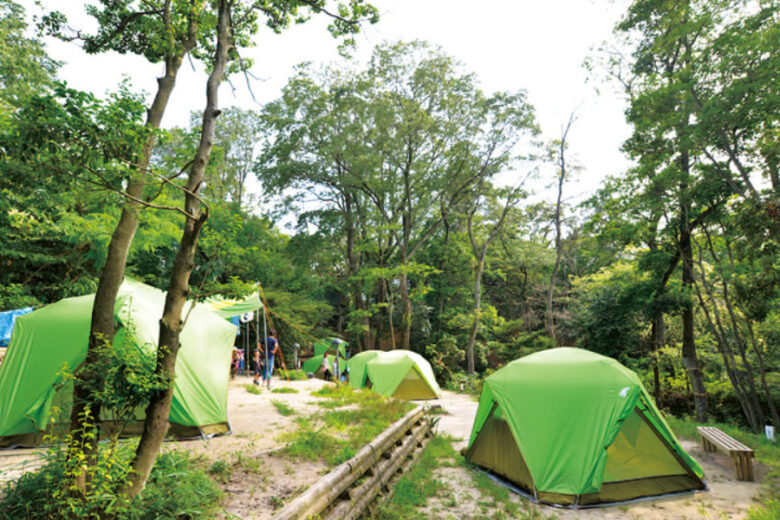 生駒山麓公園キャンプ場