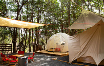TASO FOREST CAMP