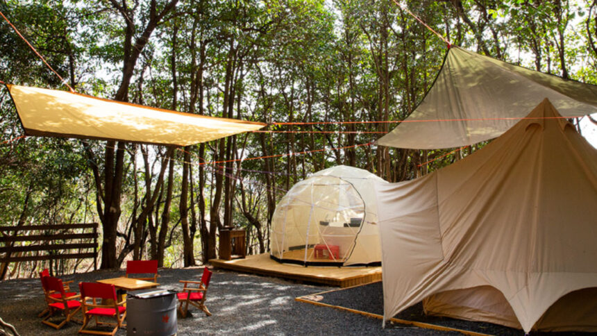 TASO FOREST CAMP