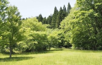 田浪キャンプ場