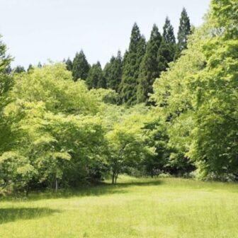 田浪キャンプ場