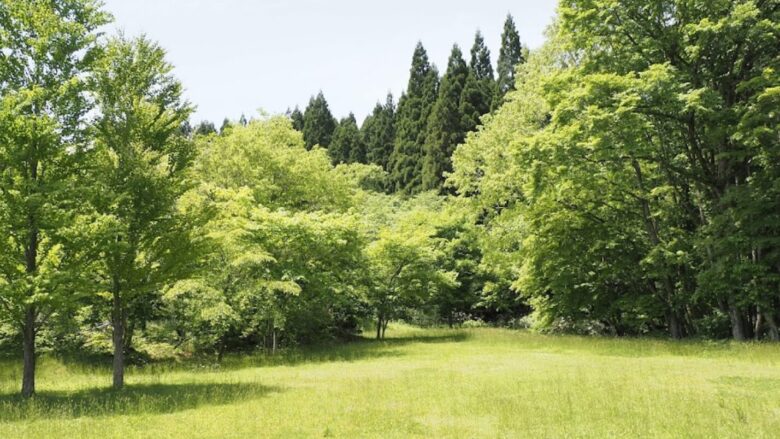 田浪キャンプ場